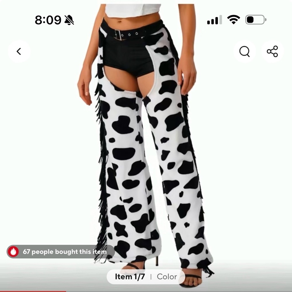 Brand new cow print chaps!